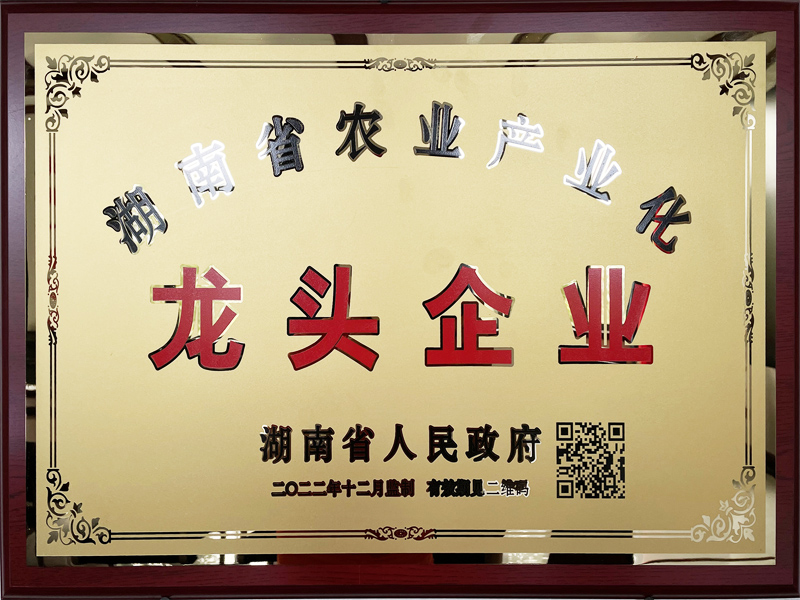 国湘食品有限公司被评为“湖南省农业产业化龙头企业”