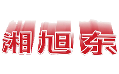 湘旭东辣条LOGO