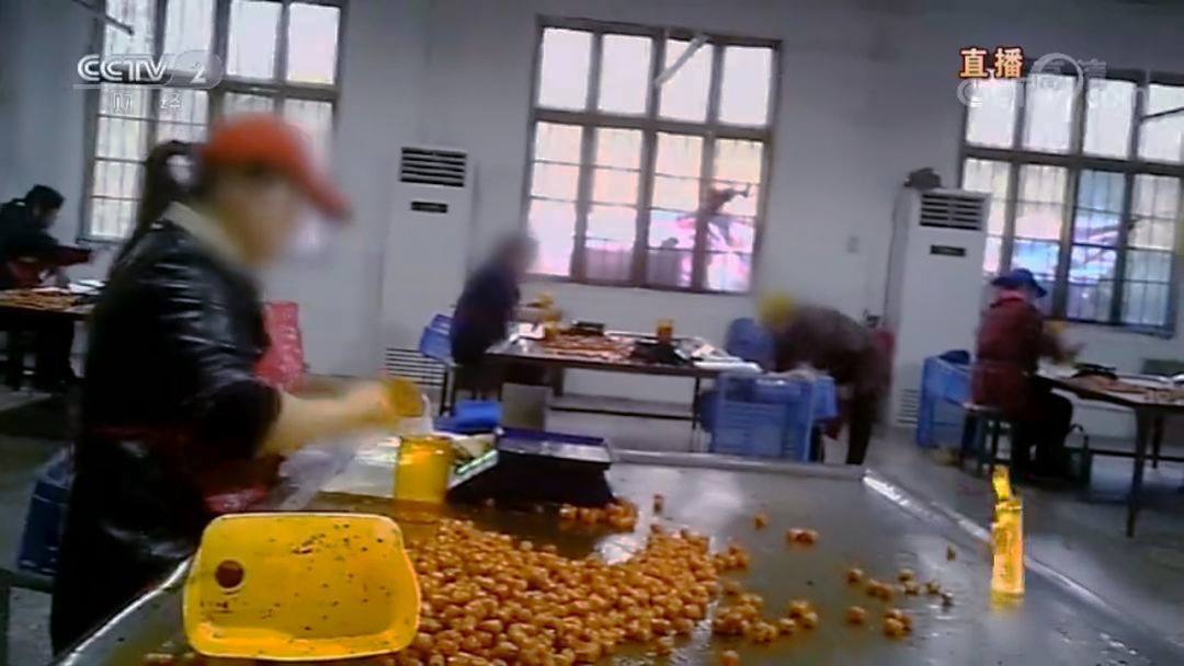 河南兰考县生产“虾扯蛋”的辣条厂