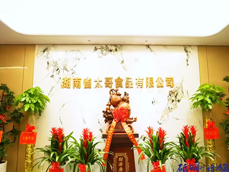 太哥食品湖南长沙品牌运营中心