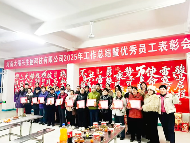 公司优秀员工表彰