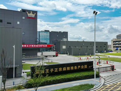 辣条与小鱼背后的“隐形冠军” 岳阳如何靠供应链撑起500亿零食帝国