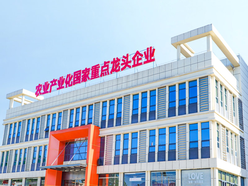 湖南乡乡嘴食品有限公司