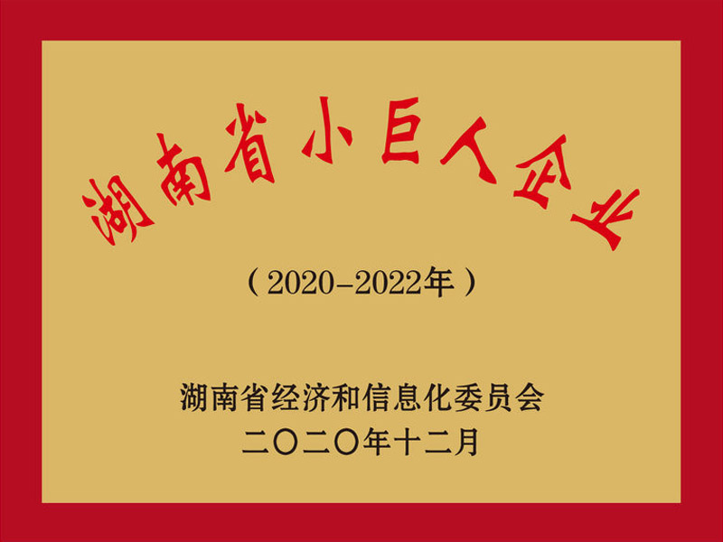 乡乡嘴食品被认定为“湖南省小巨人企业”