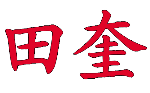 田奎辣条